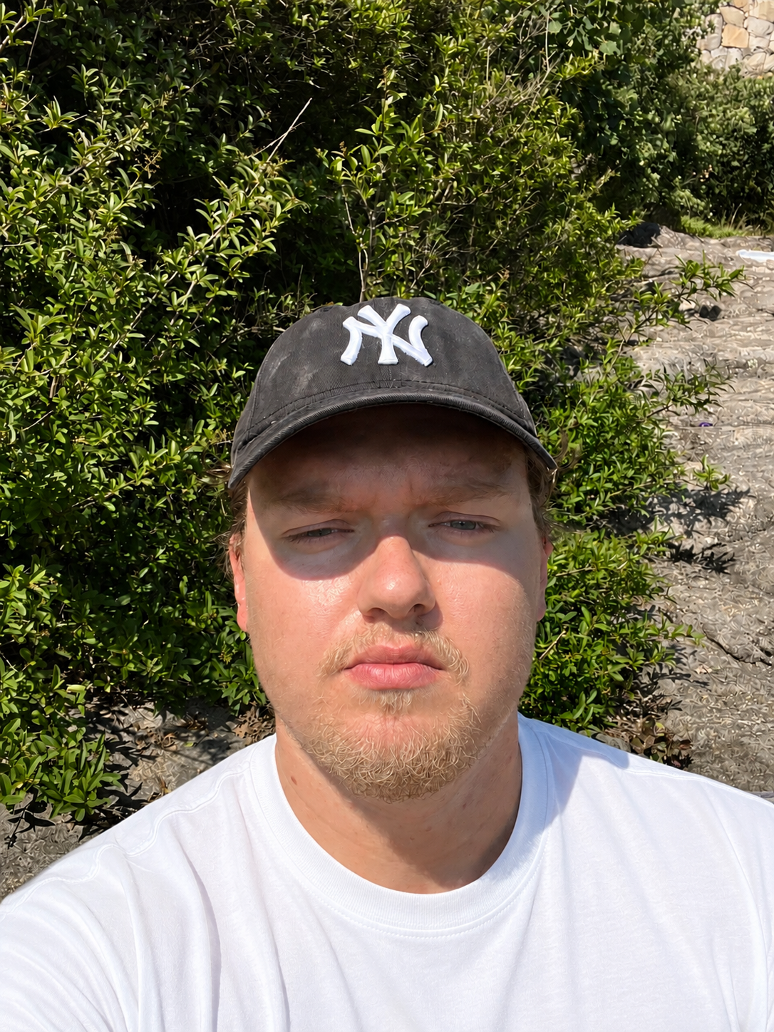Jan Ljungar, statistician